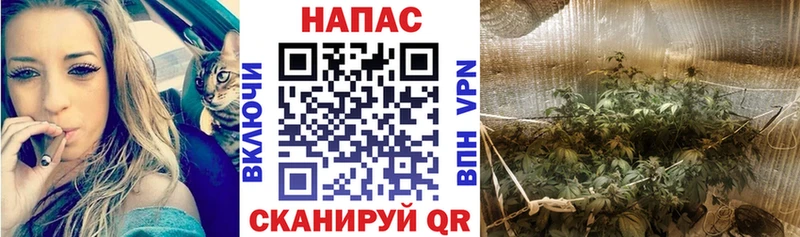 Наркошоп купить А ПВП  Меф  Гашиш  АМФЕТАМИН  КОКАИН  Марихуана  Никольское