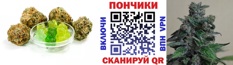Купить закладки  Никольское  Canna-Cookies конопля 