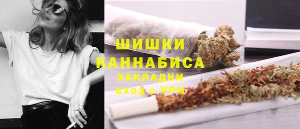 ГАЛЛЮЦИНОГЕННЫЕ ГРИБЫ Магадан